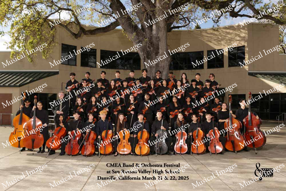 Musical Images